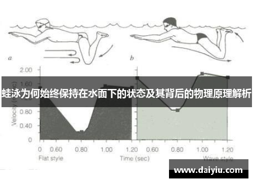 蛙泳为何始终保持在水面下的状态及其背后的物理原理解析